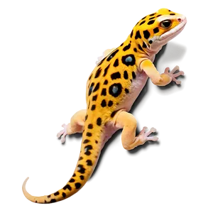 Friendly Leopard Gecko Png Yhu76 PNG Image