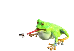 Frog Catching Bee PNG Image