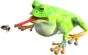 Frog Tongue Png - True Frog, Transparent Png PNG image with transparent background