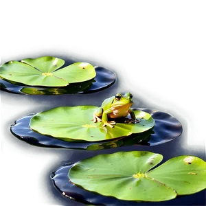 Frog On Lily Pad Png Wov PNG Image