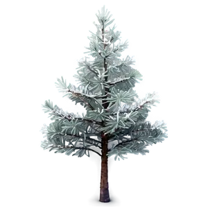 Frosty Pine Trees Png Pyp PNG Image