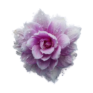 Frozen Petals Png 06292024 PNG Image