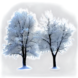 Frozen Winter Trees At Night Png Hlr PNG Image