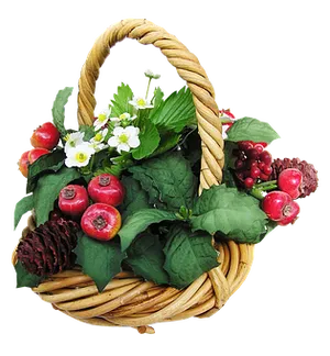 Fruit Flower Basket Arrangement PNG Image