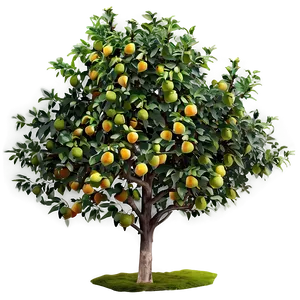 Fruit Tree Top View Png 81 PNG Image