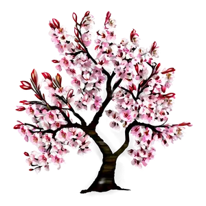 Full Bloom Cherry Tree Png Ivd PNG Image