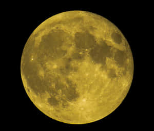 Full Moon Closeup Night Sky PNG image with transparent background