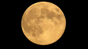 Full Moon Night Sky PNG image with transparent background