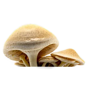 Fungus Among Us Png 88 PNG Image