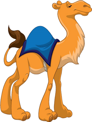 Funny Camel Clipart Pictures - Camel Clipart Transparent Background, HD Png Download PNG image with transparent background