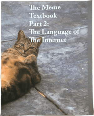 Funny Cats, HD Png Download PNG image with transparent background