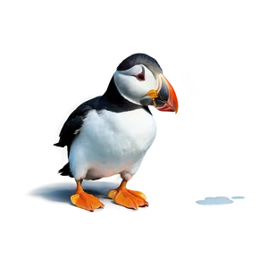 Funny Puffin Clipart Png Gbw8 PNG Image