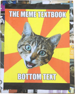Funny School Cat Memes, HD Png Download PNG image with transparent background
