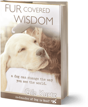View Larger Image - Fur Covered Wisdom By Gila Kurtz 9781944177027 (paperback) PNG image with transparent background