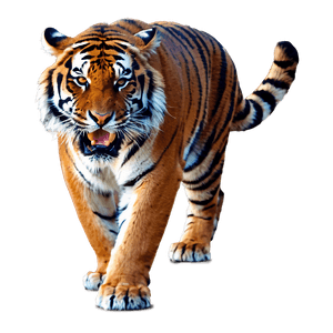 Furious Tiger Clipart PNG mms PNG