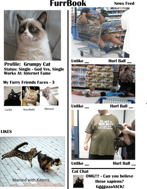 Furrballbook - Thai, HD Png Download PNG image with transparent background