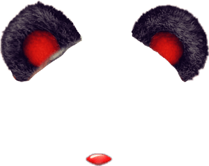 Transparent Bear Ears Png - Transparent Bear Ears, Png Download PNG with transparent background
