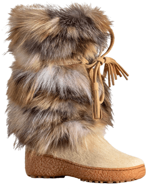 Oscar Boot 2 - Snow Boot, HD Png Download PNG with transparent background