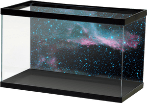 River Rock Aquarium Background, HD Png Download PNG image with transparent background
