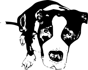 Gambar Animasi Anjing Pitbull, HD Png Download PNG image with transparent background
