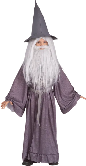 Gandalf Costume Child Portrait PNG Image