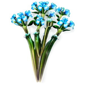 Garden Flower Transparent Png 05252024 PNG Image