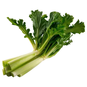 Garden Fresh Celery Png Ifj80 PNG Image