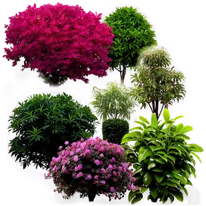 Garden Shrubs Png Yuc96 PNG Image