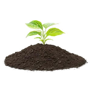 Garden Soil Dirt Png Mxm52 PNG Image