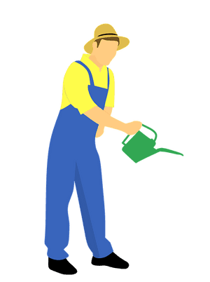 Gardener Watering Plants Vector PNG image with transparent background