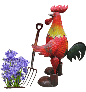 Gardening Rooster Artwork PNG image with transparent background
