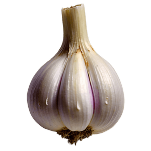 Garlic Bulb PNG 05242024 PNG image with transparent background