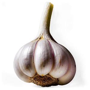 Garlic Bulb PNG 05242024 PNG image with transparent background
