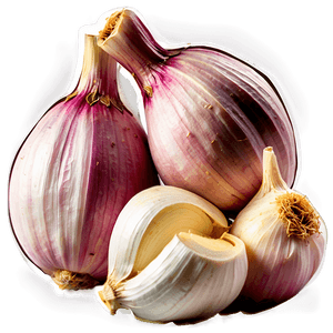 Garlic Clove PNG 05242024 PNG image with transparent background