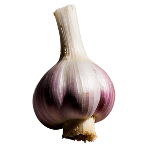 Garlic Clove PNG hop PNG image with transparent background