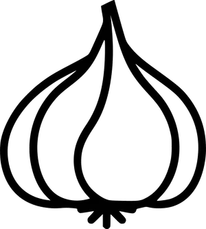 Garlic Outline Vector PNG Image