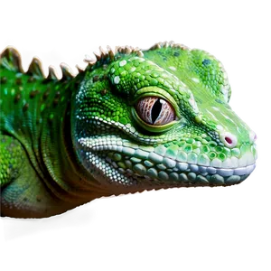 Geico Gecko Headshot Png Ohw PNG Image