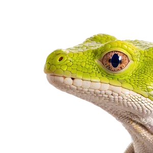 Geico Gecko Headshot Png Xcd PNG Image