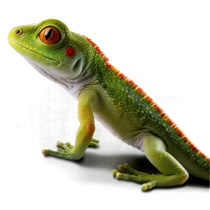 Geico Gecko Logo Design Png 99 PNG Image