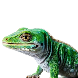 Geico Talking Gecko Png Pqp PNG Image