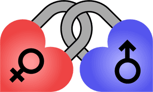 Male And Female Symbols - Transparent Heart Male Female, HD Png Download PNG with transparent background