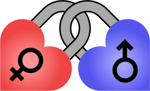 Transparent Heart Male Female, HD Png Download PNG with transparent background