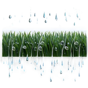 Gentle Water Drops On Grass Png 12 PNG Image