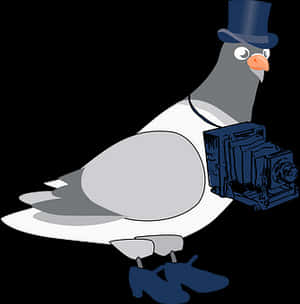Gentleman Pigeonwith Camera PNG image with transparent background