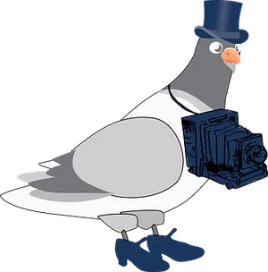 Gentleman Pigeonwith Camera PNG Image