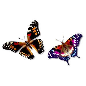 Genuine Butterfly Picture Png Rqo PNG Image