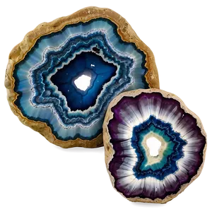 Geode Fossil Display Png Wql PNG Image