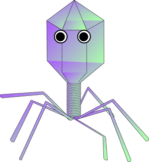 Virus PNG Clipart PNG with transparent background
