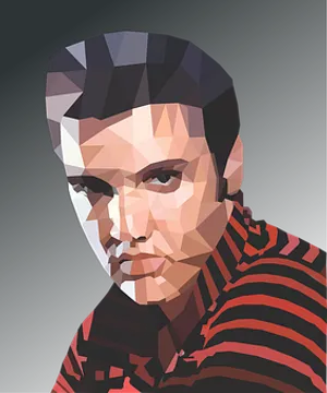 Geometric Elvis Artwork PNG Image