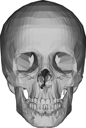 3d Skull Png - 3d Model Skull Png, Transparent Png PNG image with transparent background